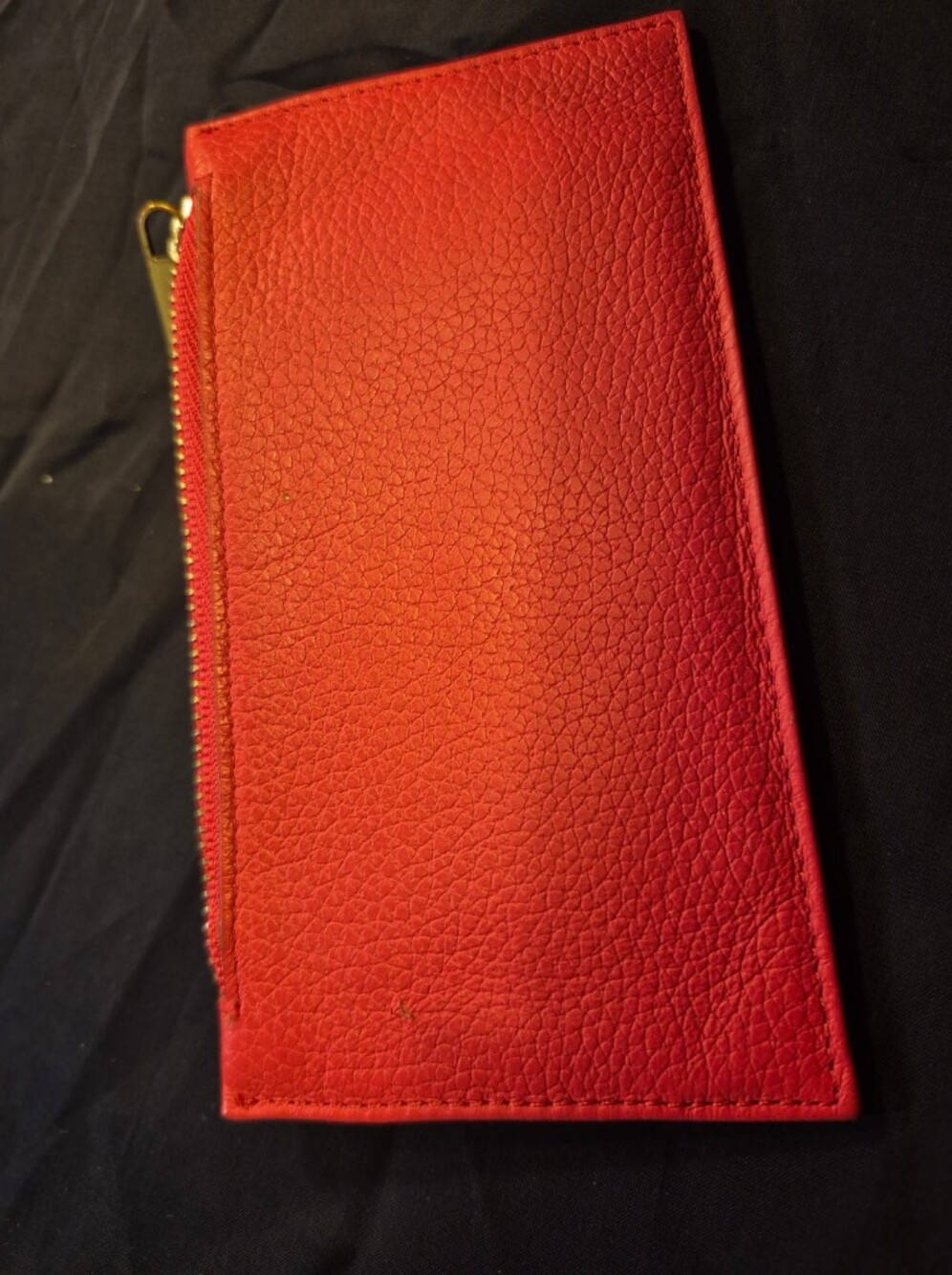 Danier Small leather pouch